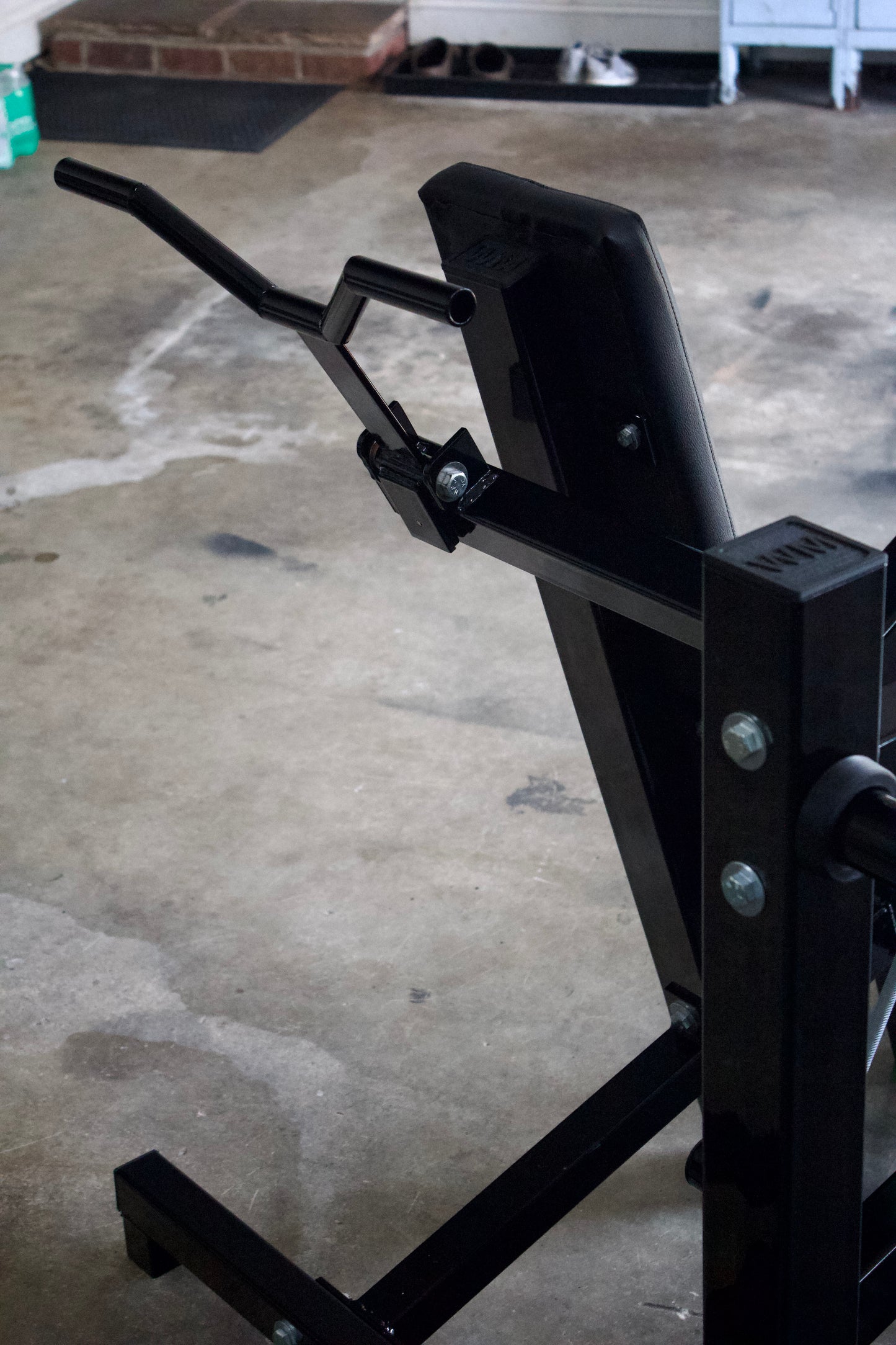 Dragon Tricep Extension