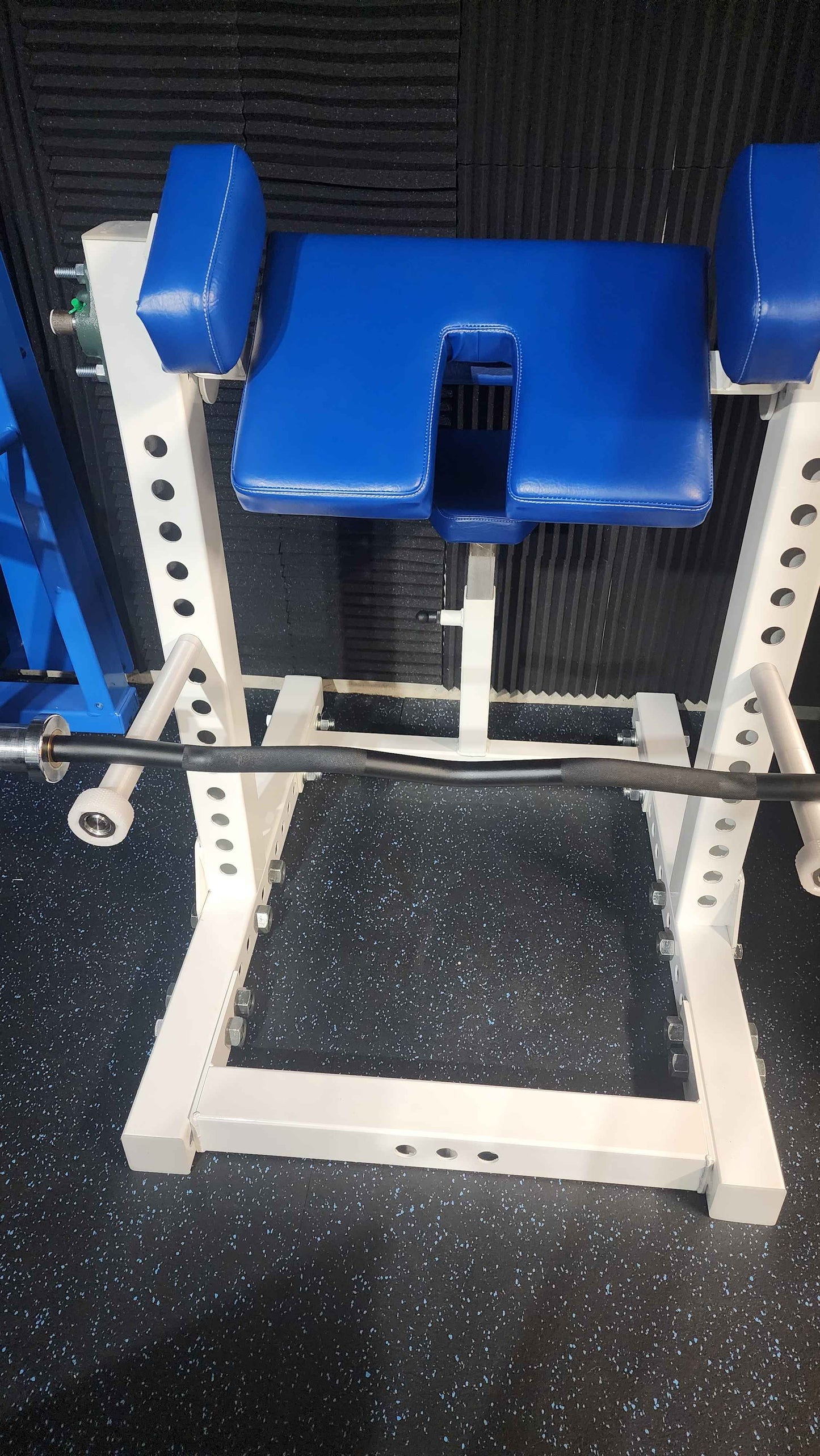 Adjustable Preacher Curl Bench